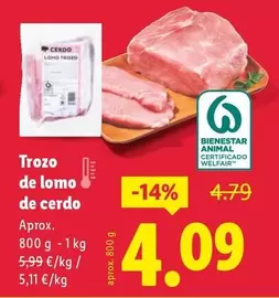 Trozo De Lomo De Cerdo