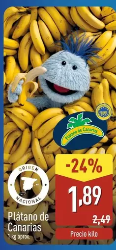 Platano De Canarias