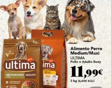 Última - Alimento Perro Medium/Maxi