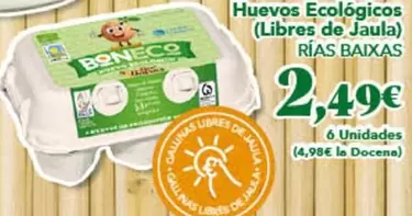 Huevos Ecológicos