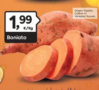 Boniato