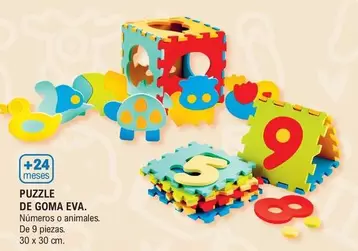 Puzzle De Goma Eva
