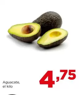 Aguacate