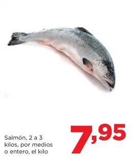 Salmón, 2 A 3 Kilos, Por Medios O Entero
