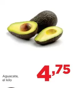 Aguacate