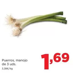 Puerros, Manojo