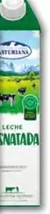 Central Lechera Asturiana - Leche Desnatada