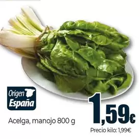 Acelga, Manojo