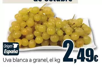 Uva Blanca A Granel