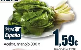 Acelga, Manojo