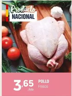 Pollo
