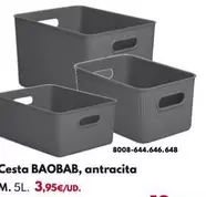 Cesta Baobab, Antracita