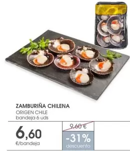 origen - Zamburina Chilena