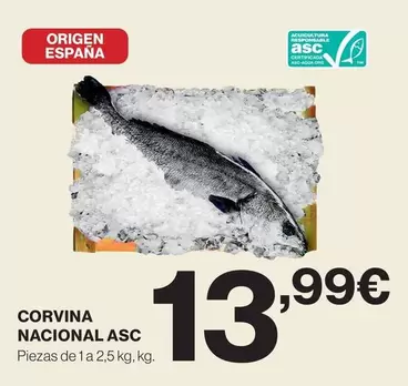 origen - Corvina Nacional