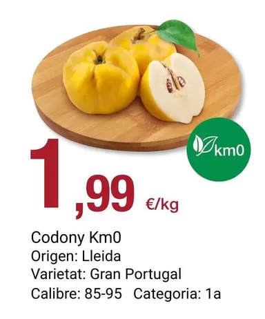 origen - Codony