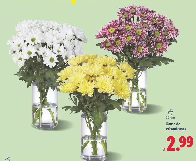 Ramo De Cristantemos