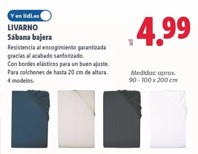 Livarno - Sabana Bajera