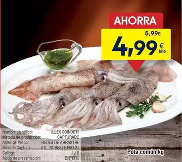 Pota Comun