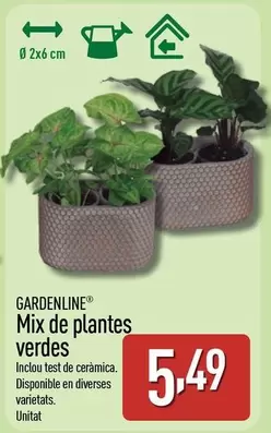 Gardenline - Mix De Plantes Verdes