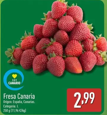 Fresa Canaria