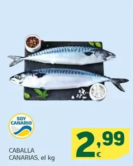 Caballa Canarias