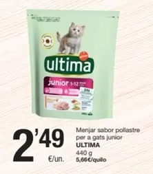 Última - Menjar Sabor Pollastre Per A Gats Junior