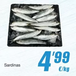 Sardinas