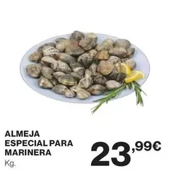 Almeja Especial Para Marinera