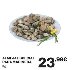 Almeja Especial Para Marinera