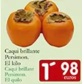 Caqui Brillante Persimon