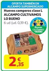 alcampo - Huevos camperos clase L ALcampo