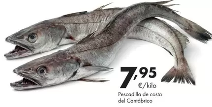 Costa - Pescadilla De  Del Cantabrico