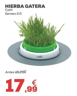 Catit - Hierba Gatera