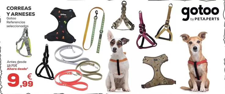 Gatoo - Correas Y Arneses