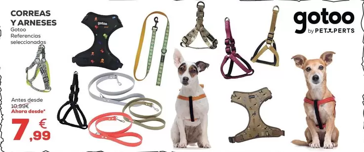 Gatoo - Correas Y Arneses