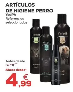 Yes!Ph - Articulos De Higiene Perro