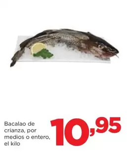 Bacalao De Crianza, Por Medios O Entero