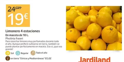 Limonero 4 Estaciones