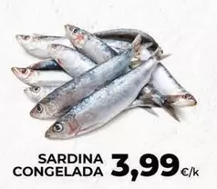 Sardina Congelada