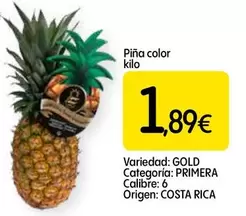 Gold - Piña Color