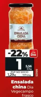 Dia Vegecampo - Ensalada China