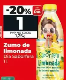 Dia Saborfera - Zumo De Limonada