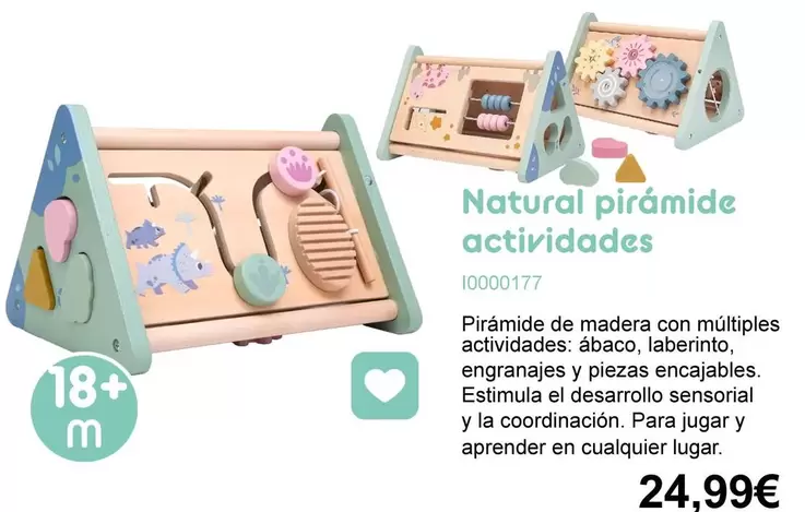 Natural Piramide Actividades