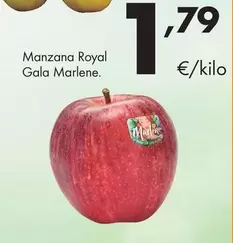 Manzana Gala Royal Marlene