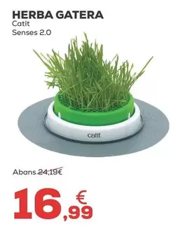 Catit - Hierba Gatera