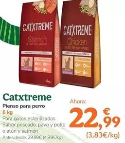 Catxtreme - Pienso Para Perro
