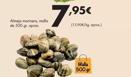 Almeja Marinera