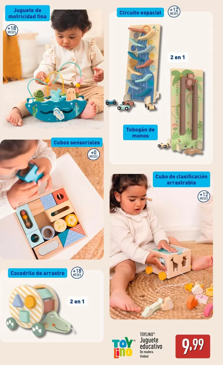 Toy Lino - Juguete Educativo