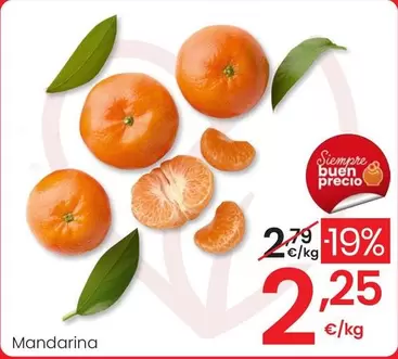 Mandarina