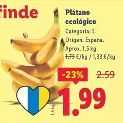 Plátano Ecológico